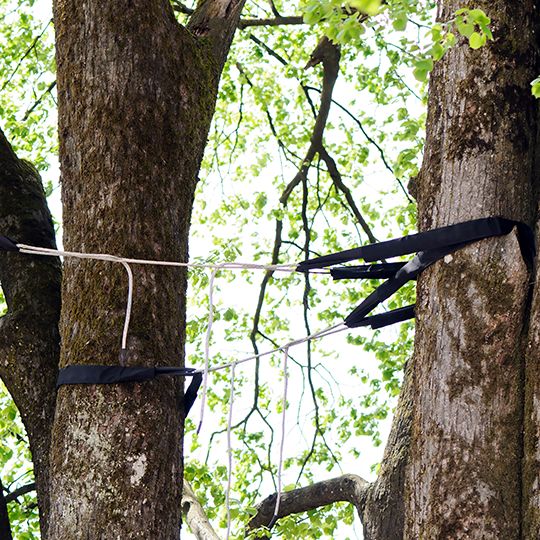 Cabling & Bracing Service in Chattanooga