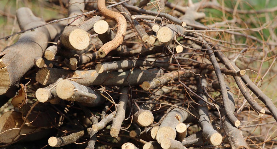 chattanooga brush clipping removal